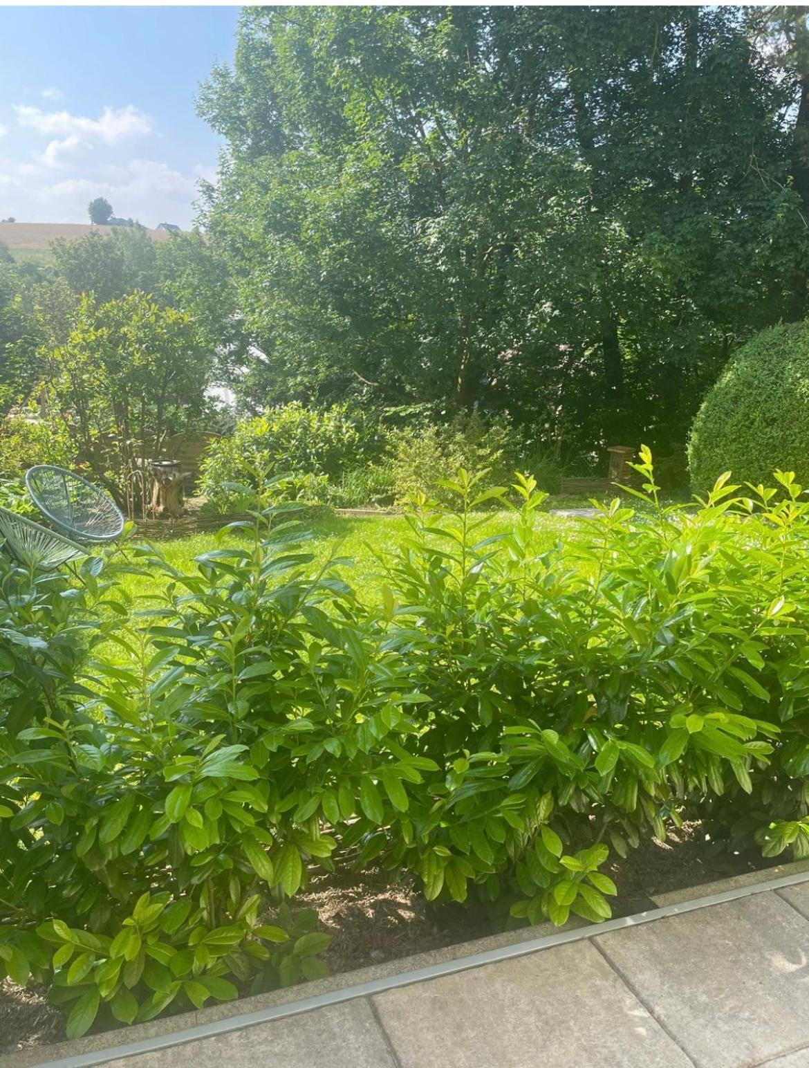 "Zur Gelassenheit" In Jugendstilvilla Sonnenschein Stolberg  Extérieur photo